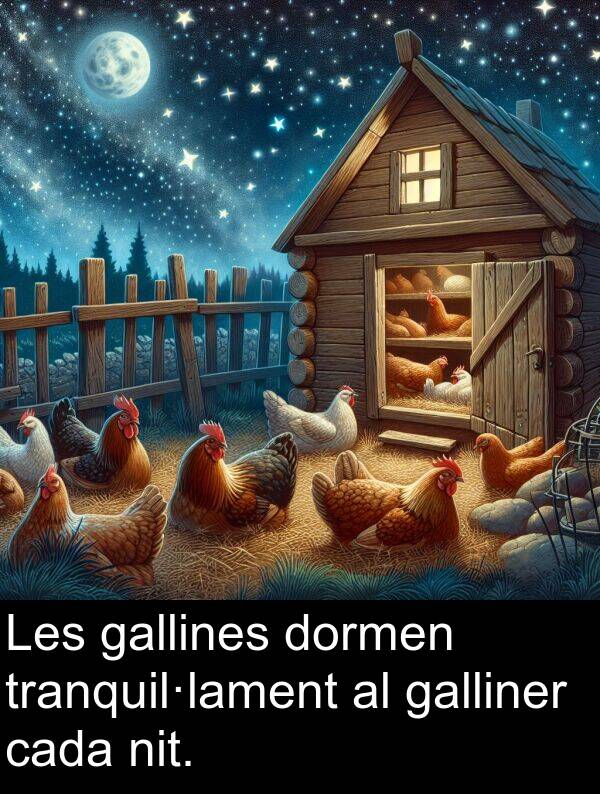 cada: Les gallines dormen tranquil·lament al galliner cada nit.