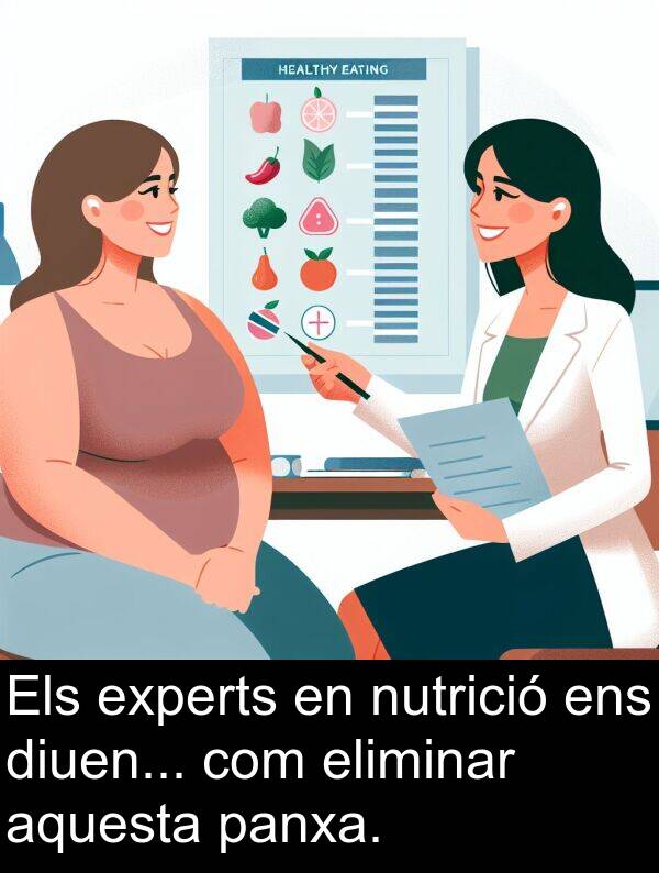 panxa: Els experts en nutrició ens diuen... com eliminar aquesta panxa.