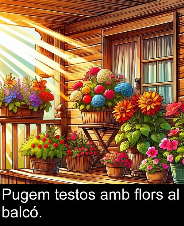 balcó: Pugem testos amb flors al balcó.