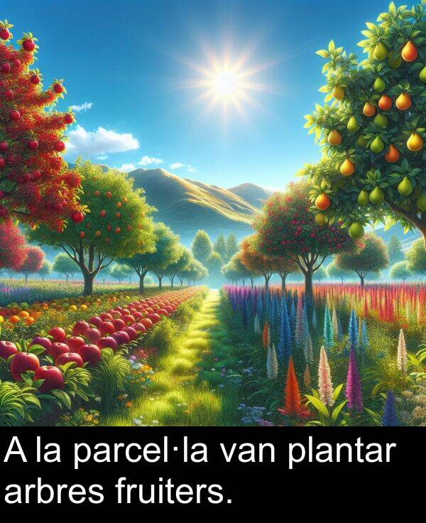 parcel·la: A la parcel·la van plantar arbres fruiters.