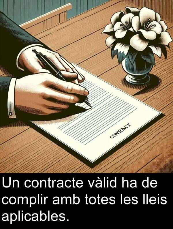 lleis: Un contracte vàlid ha de complir amb totes les lleis aplicables.