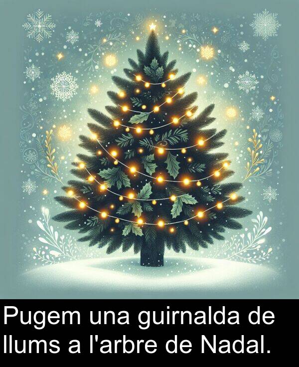 llums: Pugem una guirnalda de llums a l'arbre de Nadal.