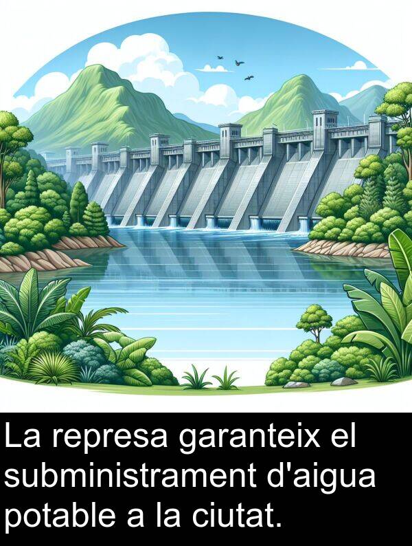 represa: La represa garanteix el subministrament d'aigua potable a la ciutat.