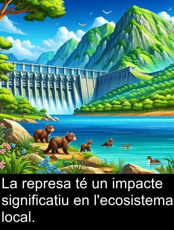 local: La represa té un impacte significatiu en l'ecosistema local.