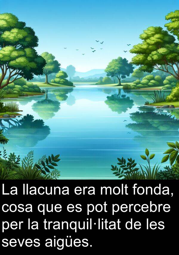 llacuna: La llacuna era molt fonda, cosa que es pot percebre per la tranquil·litat de les seves aigües.