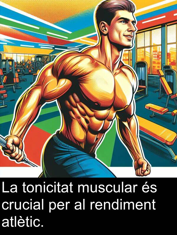 tonicitat: La tonicitat muscular és crucial per al rendiment atlètic.