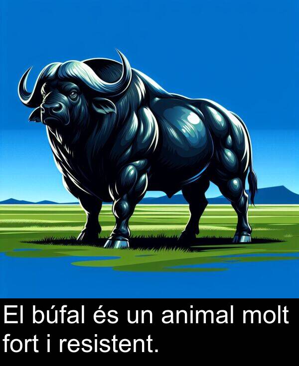 fort: El búfal és un animal molt fort i resistent.