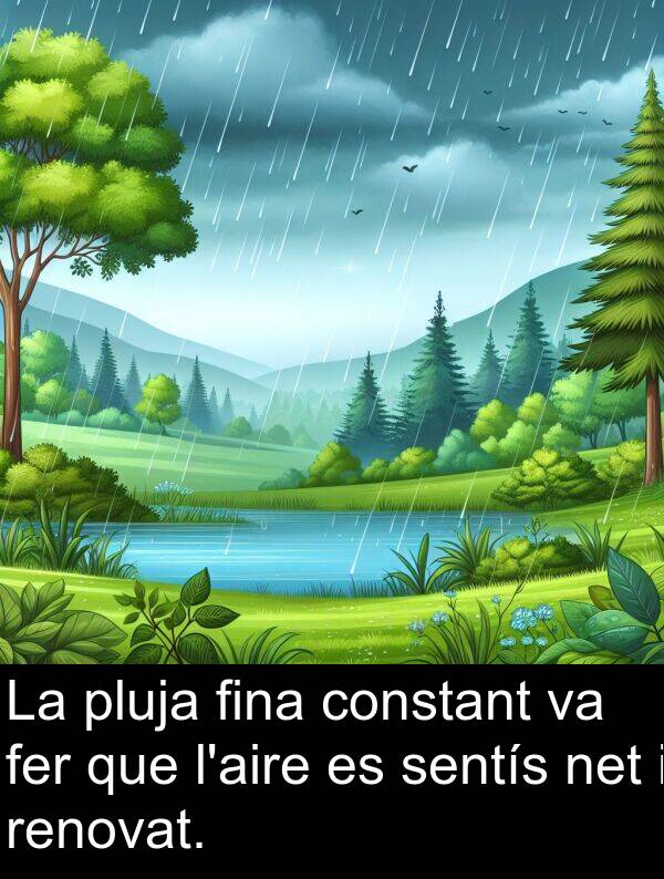 net: La pluja fina constant va fer que l'aire es sentís net i renovat.