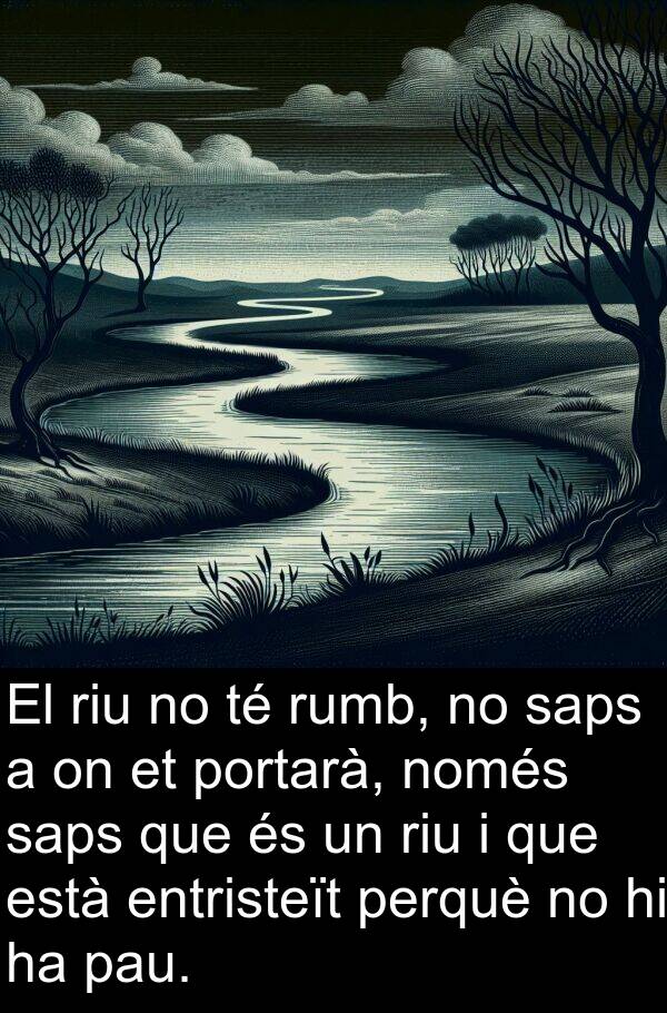 pau: El riu no té rumb, no saps a on et portarà, només saps que és un riu i que està entristeït perquè no hi ha pau.