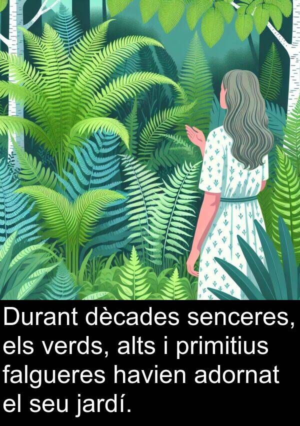 dècades: Durant dècades senceres, els verds, alts i primitius falgueres havien adornat el seu jardí.