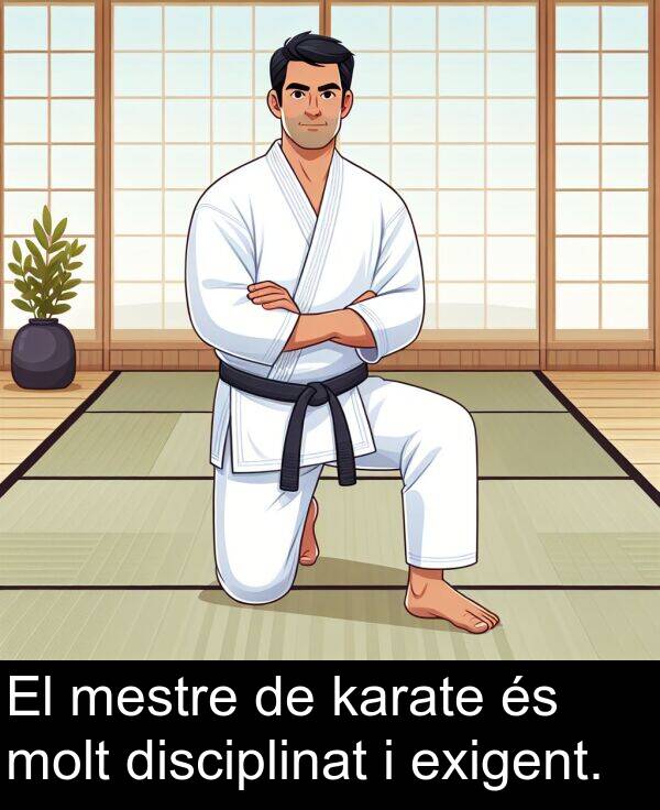 karate: El mestre de karate és molt disciplinat i exigent.