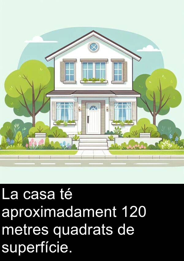 casa: La casa té aproximadament 120 metres quadrats de superfície.