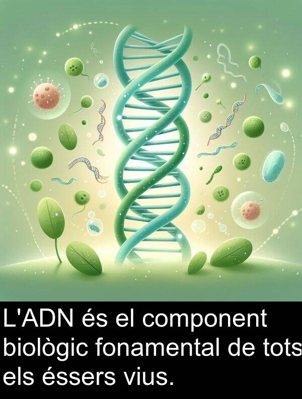 biològic: L'ADN és el component biològic fonamental de tots els éssers vius.