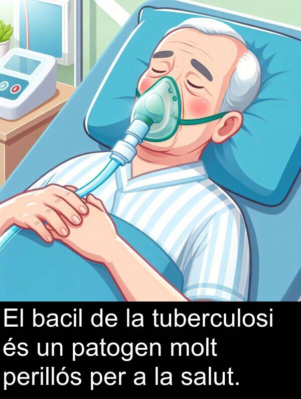 perillós: El bacil de la tuberculosi és un patogen molt perillós per a la salut.