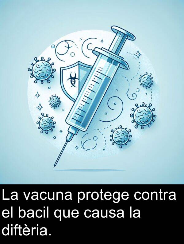 bacil: La vacuna protege contra el bacil que causa la diftèria.