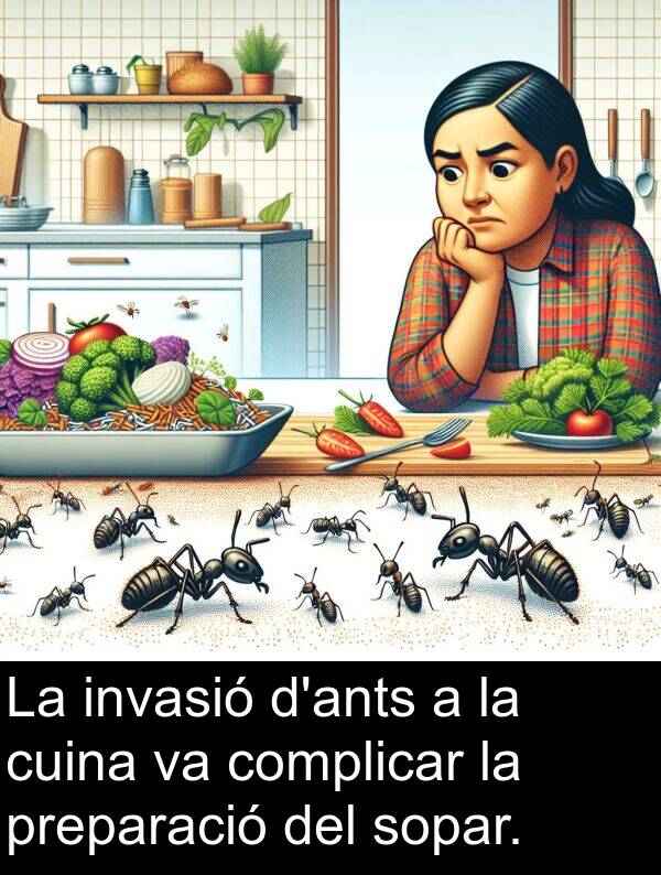 cuina: La invasió d'ants a la cuina va complicar la preparació del sopar.