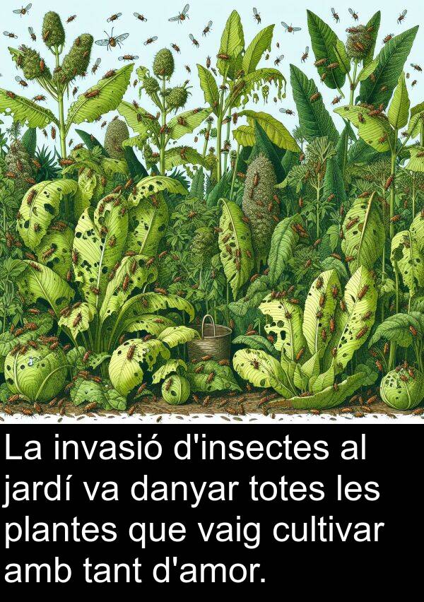 danyar: La invasió d'insectes al jardí va danyar totes les plantes que vaig cultivar amb tant d'amor.