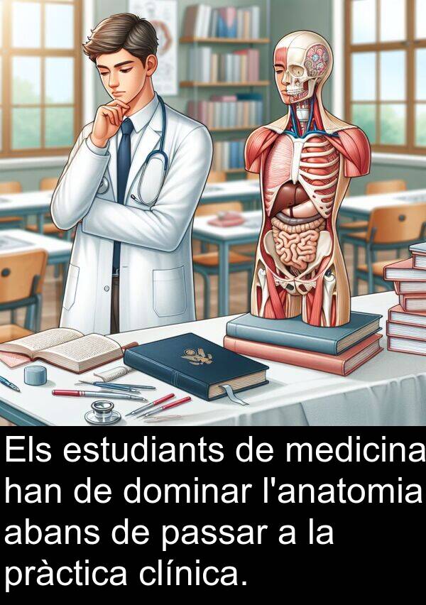 abans: Els estudiants de medicina han de dominar l'anatomia abans de passar a la pràctica clínica.