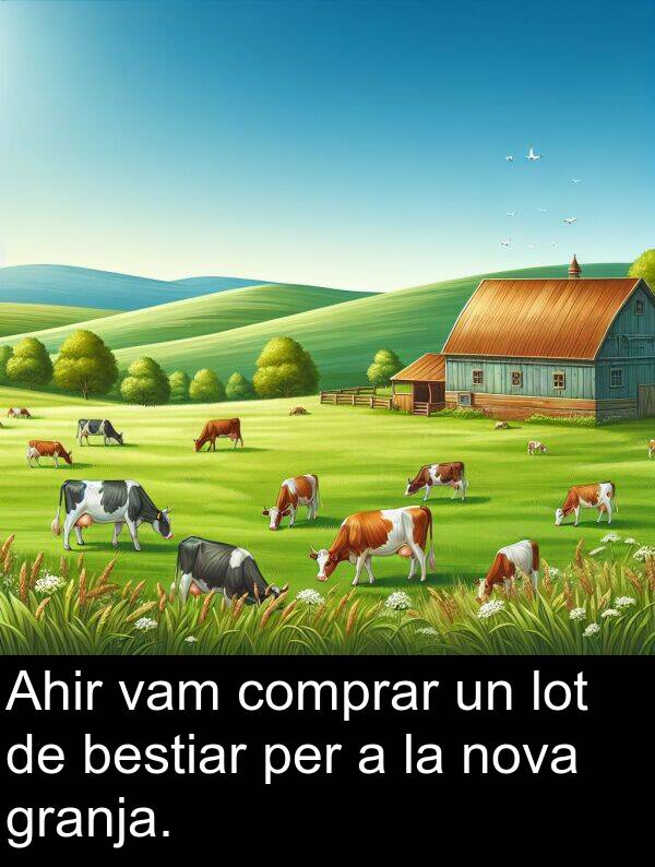 lot: Ahir vam comprar un lot de bestiar per a la nova granja.