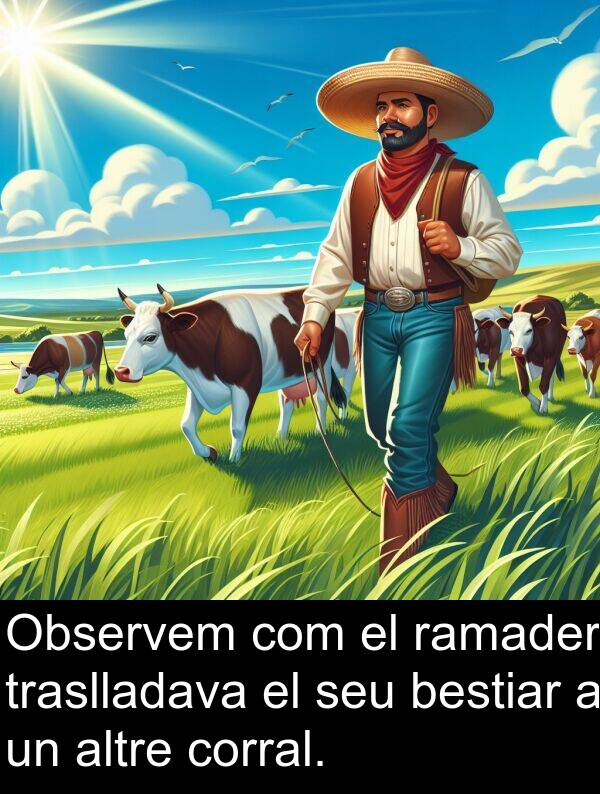 bestiar: Observem com el ramader traslladava el seu bestiar a un altre corral.