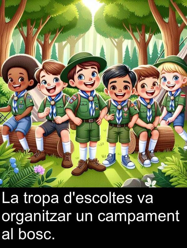 campament: La tropa d'escoltes va organitzar un campament al bosc.