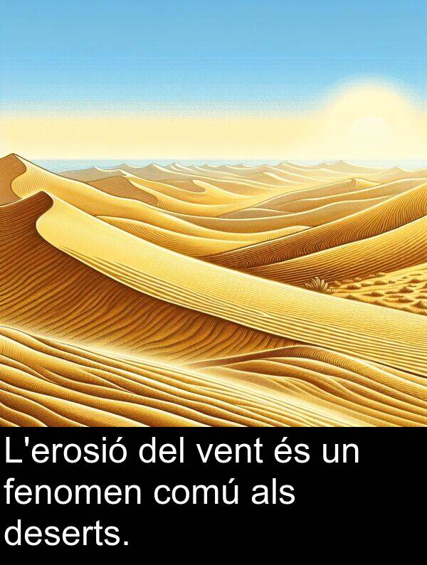 deserts: L'erosió del vent és un fenomen comú als deserts.