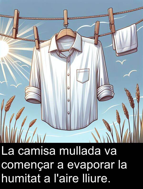 camisa: La camisa mullada va començar a evaporar la humitat a l'aire lliure.