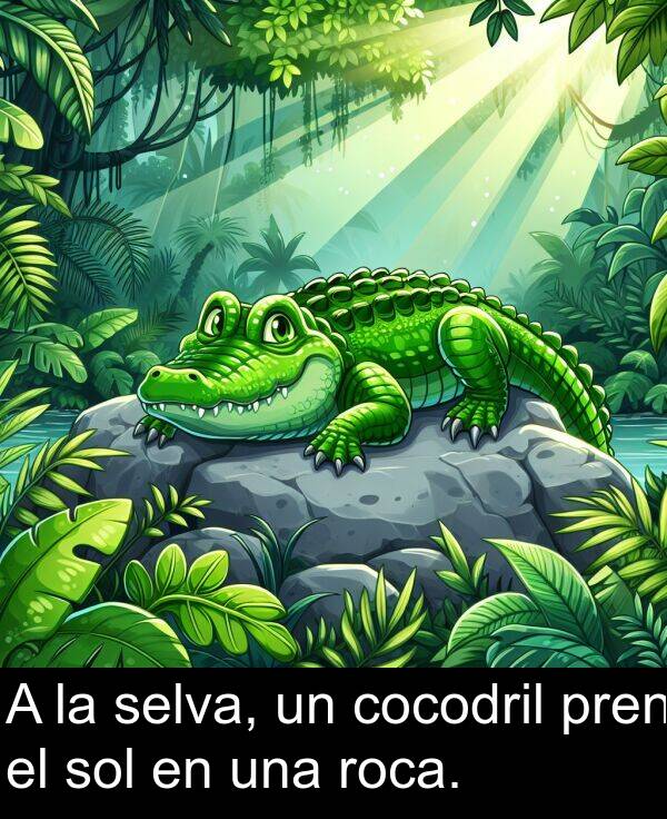 selva: A la selva, un cocodril pren el sol en una roca.