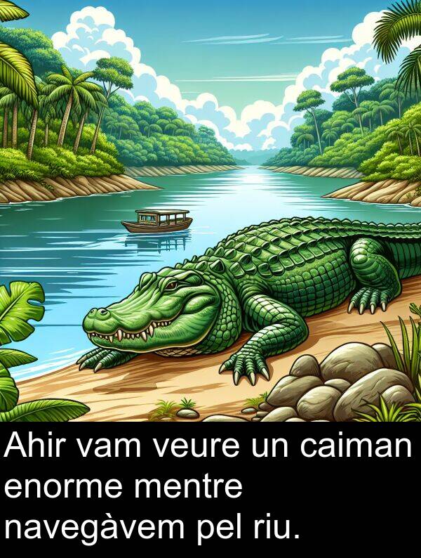 pel: Ahir vam veure un caiman enorme mentre navegàvem pel riu.