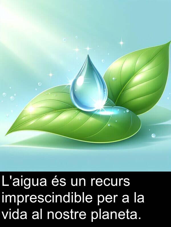 recurs: L'aigua és un recurs imprescindible per a la vida al nostre planeta.