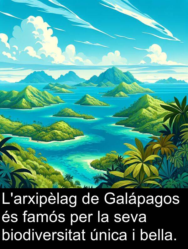 biodiversitat: L'arxipèlag de Galápagos és famós per la seva biodiversitat única i bella.