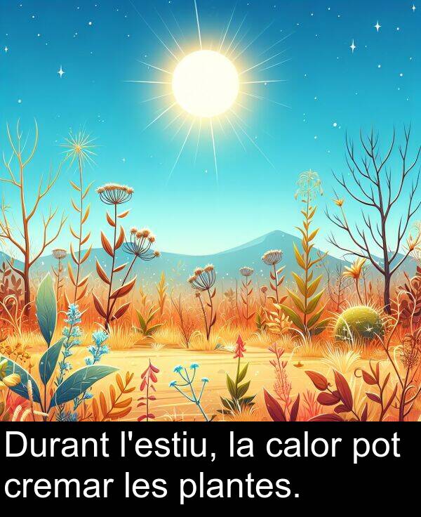 les: Durant l'estiu, la calor pot cremar les plantes.