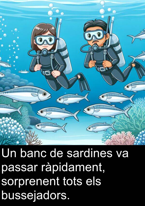 banc: Un banc de sardines va passar ràpidament, sorprenent tots els bussejadors.