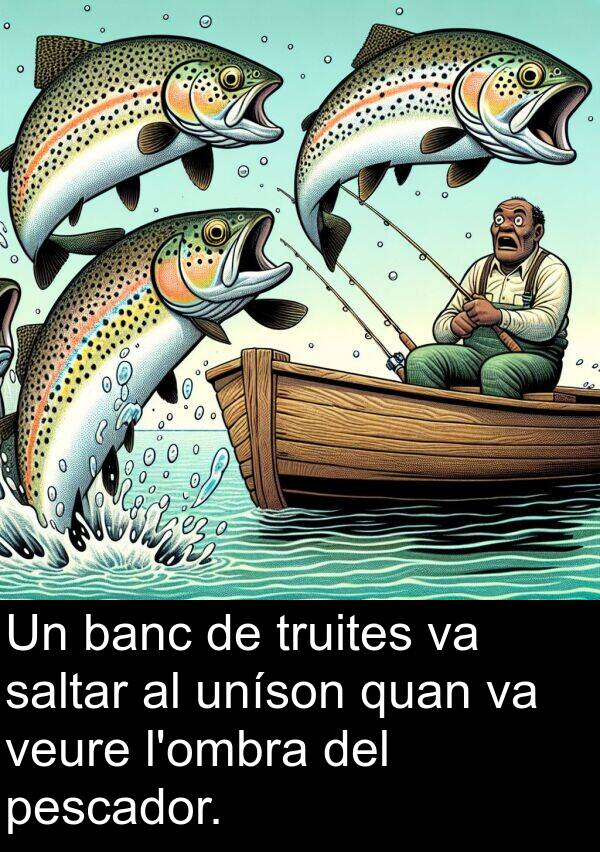 banc: Un banc de truites va saltar al uníson quan va veure l'ombra del pescador.