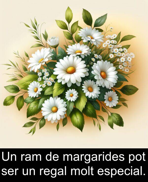 regal: Un ram de margarides pot ser un regal molt especial.