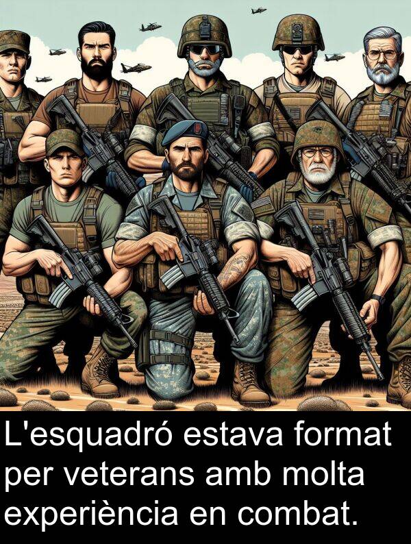 format: L'esquadró estava format per veterans amb molta experiència en combat.