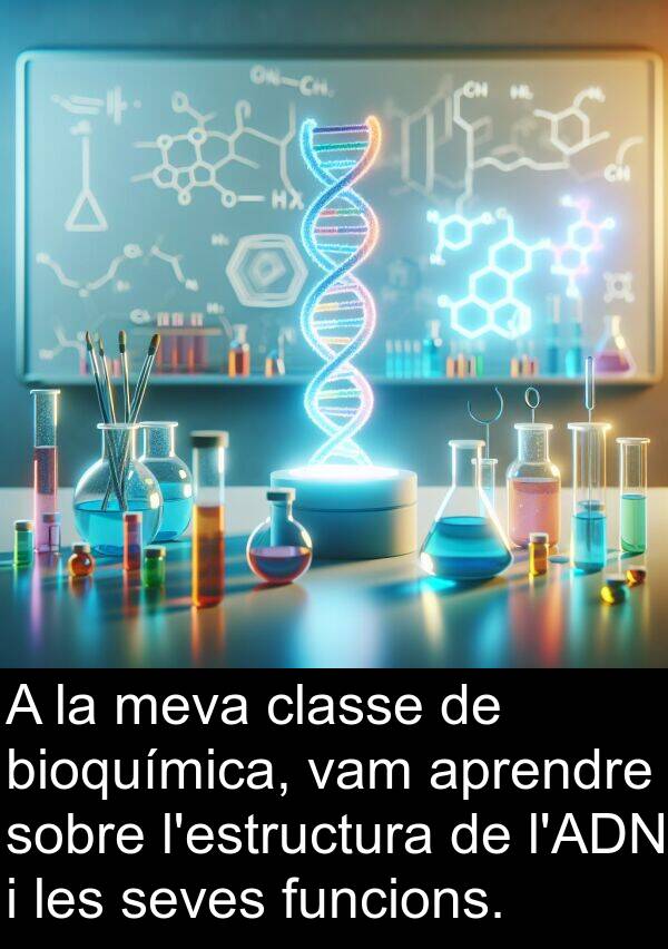 bioquímica: A la meva classe de bioquímica, vam aprendre sobre l'estructura de l'ADN i les seves funcions.