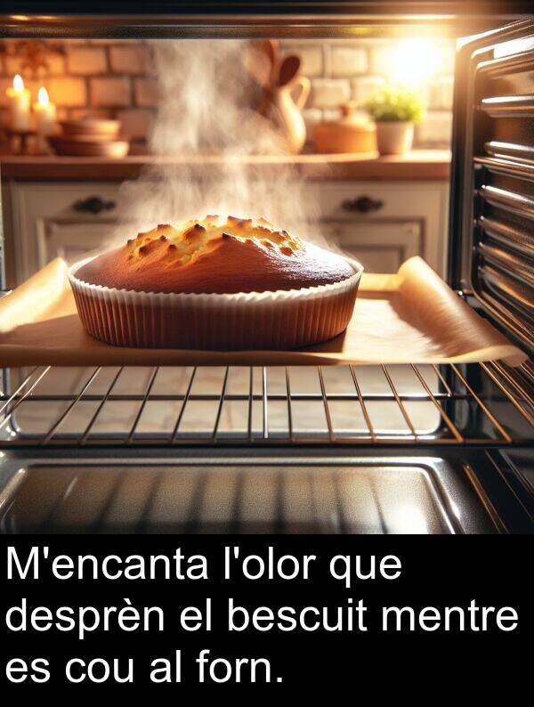 bescuit: M'encanta l'olor que desprèn el bescuit mentre es cou al forn.