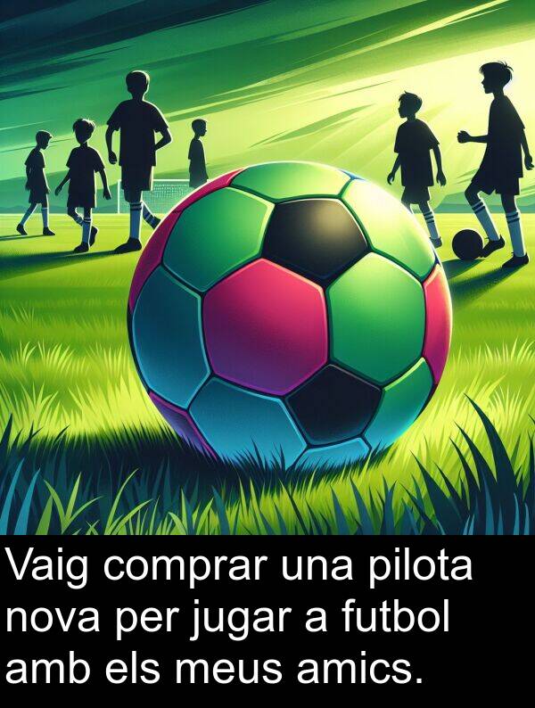 jugar: Vaig comprar una pilota nova per jugar a futbol amb els meus amics.