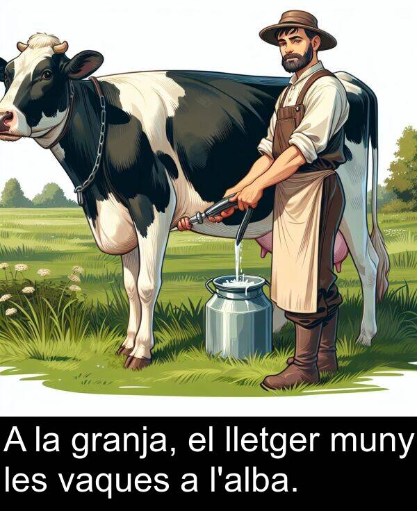 lletger: A la granja, el lletger muny les vaques a l'alba.