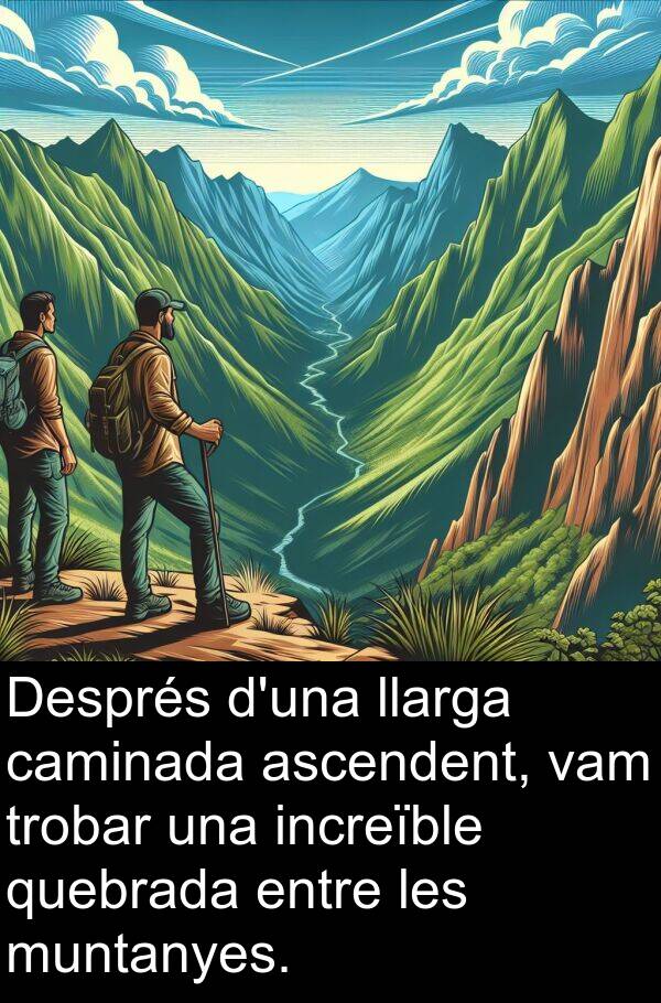 caminada: Després d'una llarga caminada ascendent, vam trobar una increïble quebrada entre les muntanyes.