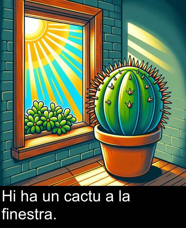 cactu: Hi ha un cactu a la finestra.