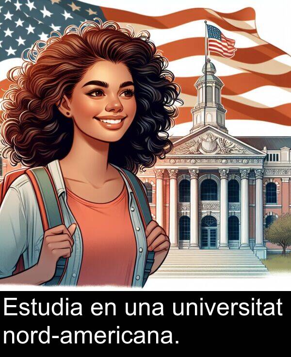 universitat: Estudia en una universitat nord-americana.