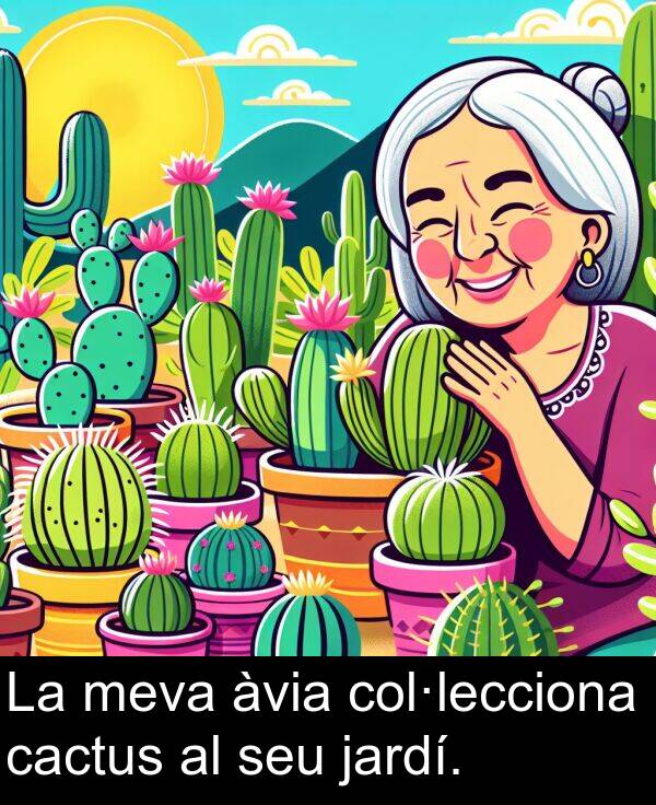 jardí: La meva àvia col·lecciona cactus al seu jardí.