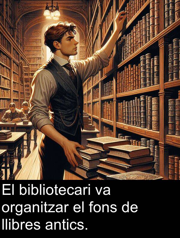 organitzar: El bibliotecari va organitzar el fons de llibres antics.