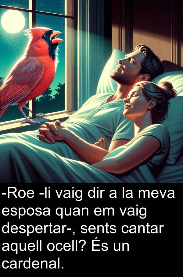 cantar: -Roe -li vaig dir a la meva esposa quan em vaig despertar-, sents cantar aquell ocell? És un cardenal.