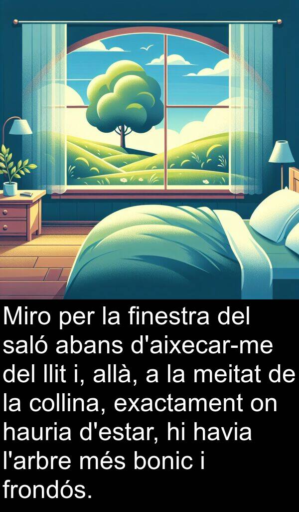 bonic: Miro per la finestra del saló abans d'aixecar-me del llit i, allà, a la meitat de la collina, exactament on hauria d'estar, hi havia l'arbre més bonic i frondós.