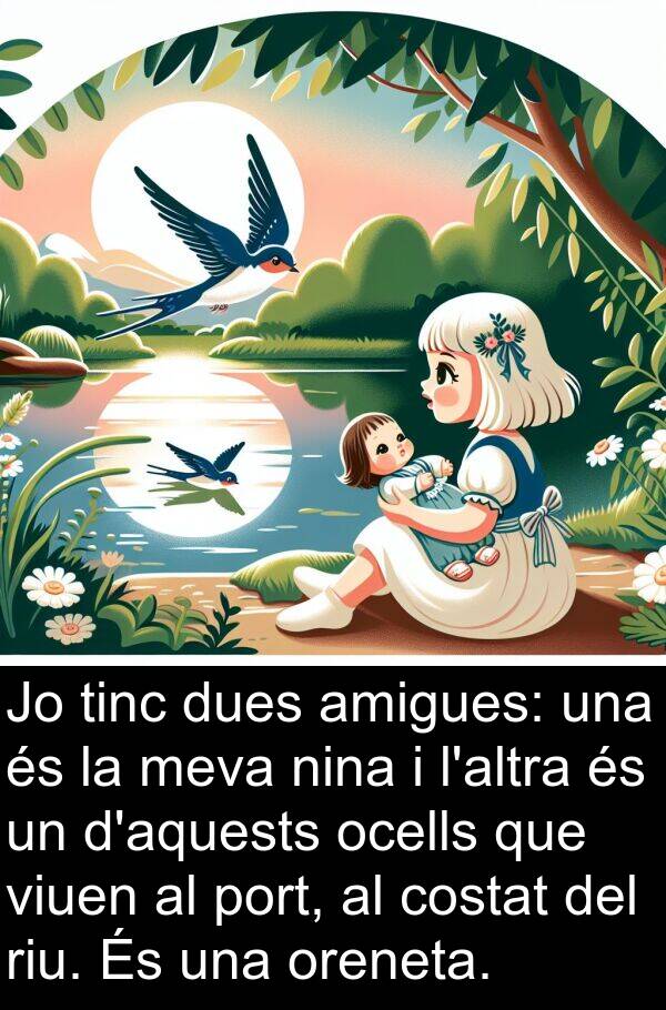 oreneta: Jo tinc dues amigues: una és la meva nina i l'altra és un d'aquests ocells que viuen al port, al costat del riu. És una oreneta.