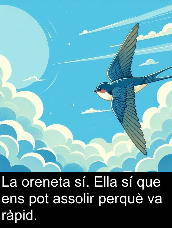 oreneta: La oreneta sí. Ella sí que ens pot assolir perquè va ràpid.