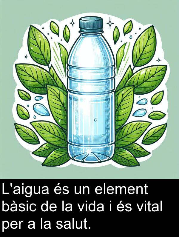 bàsic: L'aigua és un element bàsic de la vida i és vital per a la salut.